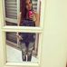 Hazel Autumn Pritchett - Facebook