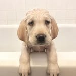 Hazel Pryor - @chunkyhazel - Instagram