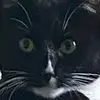 multixezits - @hazelxpryor0 - TikTok