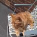 Hazel Ratcliffe - Facebook