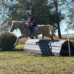 Hazel Reed - @hjr_eventing - Instagram