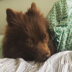 Hazel - @hazel_reese_ - Instagram