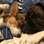 Hazel & Remington - @hazel_and_remington - Instagram