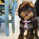 RemingtonHazel - @remingtonhazelthegreat - Instagram