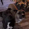 Remington.hazel - @remington.hazel - TikTok