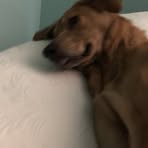 Hazel Reynolds - Facebook