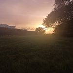 Hazel roach - @hajohroa - Instagram