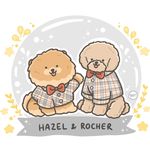 minipom and toypoodle - @hazelrocherloui - Instagram