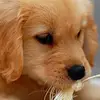 Hazel_Rocks - @hazel_rocks - TikTok
