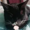 HazelRocks - @hazyyrocks - TikTok