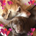 Hazel Rush - @mimi_rush64 - Instagram