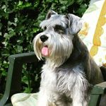 Hazel Rushton - @hazelrushton - Instagram