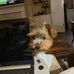 Hazel Ryan - Facebook