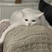 Hazel Ryan - Facebook