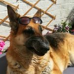Hazel Sewell - @kurrbag - Instagram