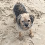hazel shaw - @hazelshaw975 - Instagram