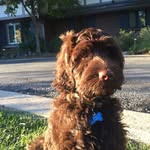 Hazel Sheldon - @bb.sheldon - Instagram