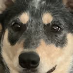Hazel Haynes - @hazelsilver07 - Instagram