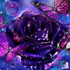 Hazel Hazel7371 - @hazelsilver07 - TikTok