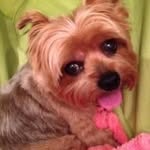 Hazel Silver - @hazelsilver319 - Instagram