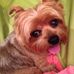 Hazel Silver - Facebook