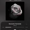 Hazel Silverwings - @hazel.silverwings17 - TikTok