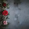... - @hazel.sims - TikTok