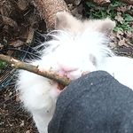 @hazel._.snow - Instagram