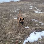 Hazel Snow - Facebook