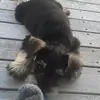 hazelstanley - @hazelstanley - TikTok