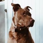 Hazel Nut May & Franklin T. Stephens - @hazeitsfranklin - Instagram