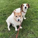 Hazel Storey - @hazel.storey67 - Instagram
