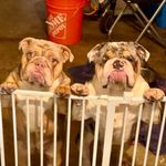 Hazel n Ice Sutherland - @hazel_n_ice_4life - Instagram