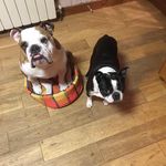 Hazel Sutherland - @hazel.sutherland.0505 - Instagram