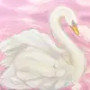 🦢 - @hazelswan_ - TikTok