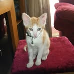 Hazel Swift - Facebook