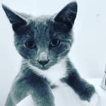 hazel swift - @hazelswift8 - Instagram