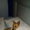 Hazel Swiers - @hazelswiers - TikTok