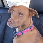 Hazel Talbot - @hazelbeanplant - Instagram