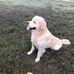 Hazel Templeton - Facebook