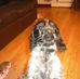 Hazel Templeton - Facebook