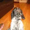Hazel Templeton - @hazel.templeton - TikTok