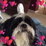 Hazel Testerman - Facebook