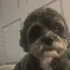 Hazel Thomas - @hazel._.thomas - TikTok