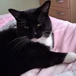 Hazel Thomson - @hazel.thomson.16 - Instagram
