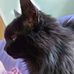 Hazel Thomson - Facebook