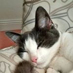 Hazel Thorne - @thornehazel - Instagram