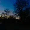 hazeltierney - @thatprocreatedrawer11 - TikTok