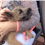 Hazel - @hazel__tull - Instagram