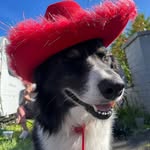 Hazel Underhill - @hazepaul2000 - Instagram